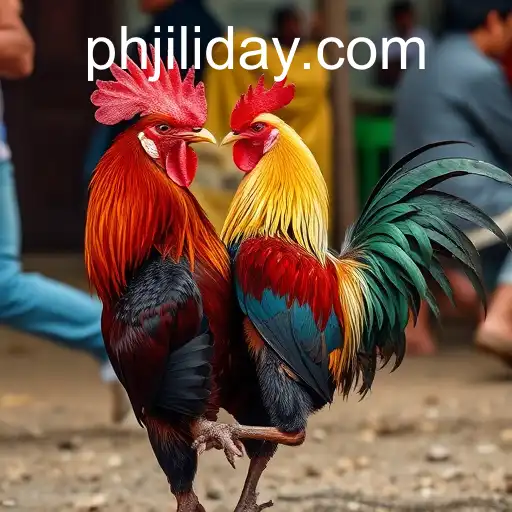 The Complex World of Cockfighting: A Deep Dive into Tradition and Controversy